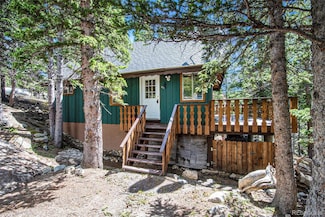 827 Mine Rd, Idaho Springs, CO 80452