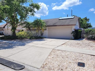 7125 Silvermill Dr, Tampa, FL 33635