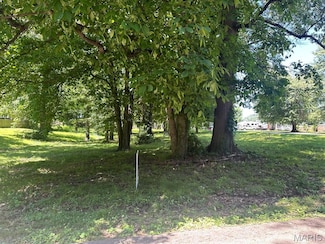0 Lewis & Albert St Unit MAR25013843, Dexter, MO 63841