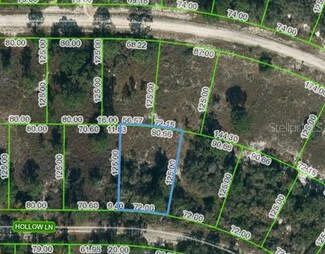 408 Hollow Ln, Lake Placid, FL 33852