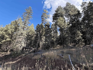 Lot 38 Vail Ave, Angel Fire, NM 87710