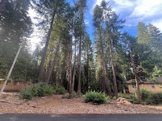 11290 Holiday Dr, Clipper Mills, CA 95930