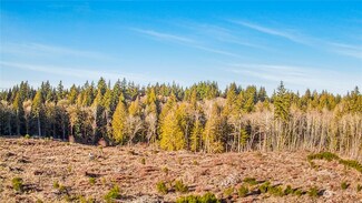 0 E Libby Rd Unit NWM2328641, Shelton, WA 98584