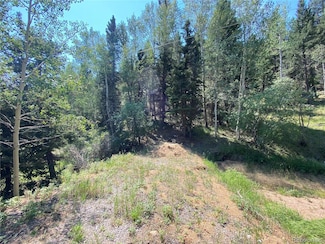 286 Coffee Pot Rd, Manitou Springs, CO 80829