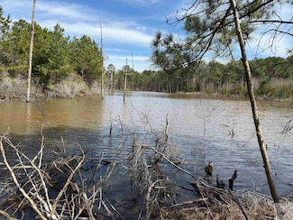 0 Cr 2343 & Cr 2339 Unit 117267, Douglassville, TX 75560