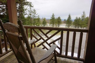10 Snowshoe Dr, Slatyfork, WV 26209
