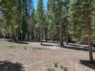3380 El Camino Boot Strap, Dorrington, CA 95223