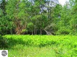 00 Zimmerman Rd NW, Rapid City, MI 49676