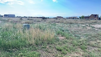 307 N Lyons Dr, Pueblo West, CO 81007