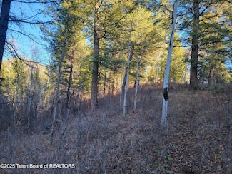 L13B2 Cutthroat Run, Irwin, ID 83428