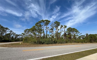 14767 San Domingo Blvd, South Gulf Cove, FL 33981