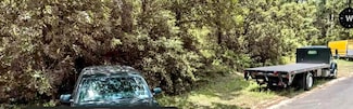 3358 Greenbranch Dr, Houston, TX 77338