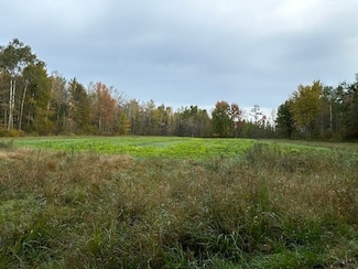 W0 Jones Rd Unit Bruce WI, Stubbs, WI 54819