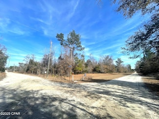 Lot 1 Whitetail Dr, Marianna, FL 32448