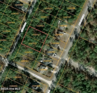 Lots 3 & 4 Raeford Rd, Boiling Spring Lakes, NC 28461