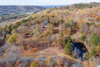 44 Grandview Trail, Warrior, AL 35180