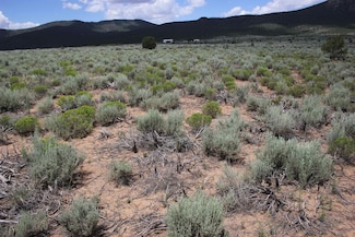 Lots 7 and 8 Shirley Dr, Questa, NM 87556