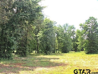 835 Stone Chimney Rd (Lot 6 Cr 3608), Bullard, TX 75757