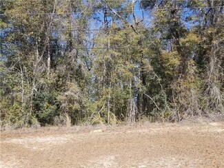 0 Lowell Ln, Saraland, AL 36571
