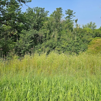 XXX Eau Galle Dr, Elmwood, WI 54740