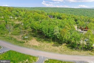 Lot 68 N Camp Rd, 6, Sang Run, MD 21541