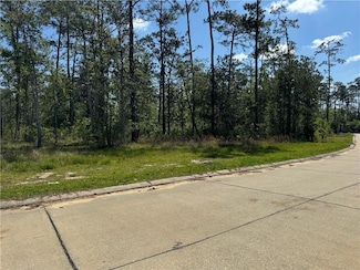 447 Arbor View Dr, Slidell, LA 70461