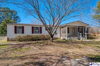 3929 Maiden Down Rd, Marion, SC 29571
