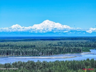 13745 E Wilderness Rim Rd, Willow, AK 99688