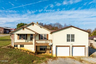 366 Telford Rd, Telford, TN 37690