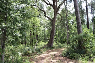 1030 Lantana Cir Unit Lot 46 Lantana Circl, Debordieu Colony, SC 29440
