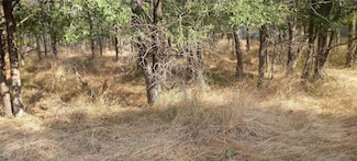 103 Waikakaaua Dr, Bastrop, TX 78602
