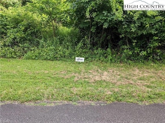 Lot 1 Briarwood Ln, Sparta, NC 28675