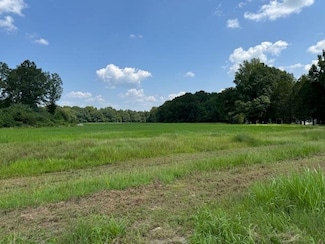 0 Meadow Oaks Ln Unit 10182550, Bolivar, TN 38008