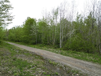 Lot 28 Rosewood Haven, Prentiss Township T7 R3 Nbpp, ME 04487