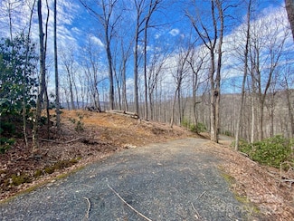 TBD Old Chestnut Mountain Rd, Newland, NC 28657