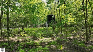 2351 S 10 Mile Rd, Breckenridge, MI 48615