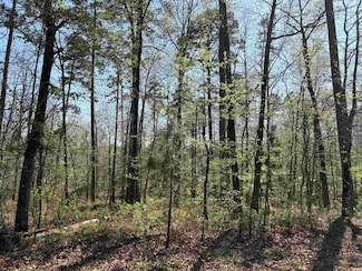 0 Hendaye Way Unit 25013635, Hot Springs Village, AR 71909