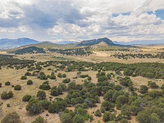 0 County Road 521 Unit 24-1199, Walsenburg, CO 81089