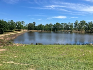 2211 Allie Rd, Greenville, GA 30222