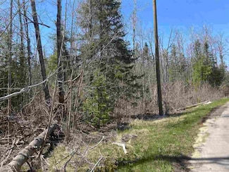 2189 Barney Rd, Bear Creek Township, MI 49770