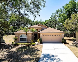 4701 Bear Claw Ct, Valrico, FL 33594