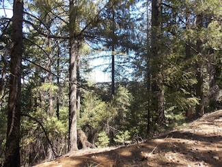 26311 Shake Ridge Rd, Volcano, CA 95689