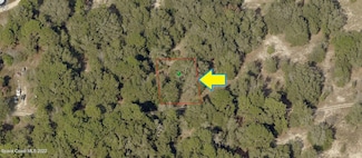 2510 Reagan St, Inverness, FL 34453