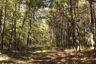 Hempstead 272, McCaskill, AR 71847