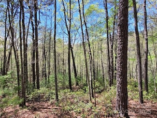 Lot 21 Little Fox Run, North Cove, NC 28752