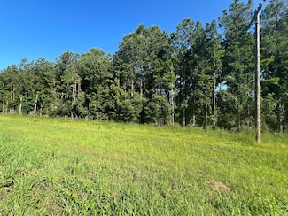 XXX Highway 44, Jayess, MS 39641