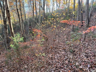 Lot 7 Deer Ridge Rd, Bryson City, NC 28713