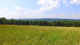 00 Bush Rd, Jamesville, NY 13078