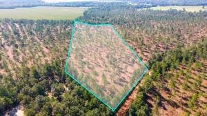 LOT 7 Bluffwood Rd, Wagener, SC 29164