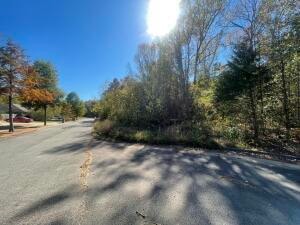 Lot 9 Valentina St, Clarksville, AR 72830